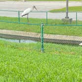 Review photo of Osprey Cove Military - Mayport NS by Shelly S., November 11, 2020