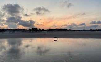 Shelly S.'s photo of camping with pets at Osprey Cove Military - Mayport NS near Jacksonville, FL