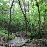 Review photo of St. Francois State Park Campground by Kelsie L., May 23, 2018