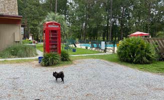 Shelly S.'s photo of camping with pets at Point South KOA near Hampton, SC