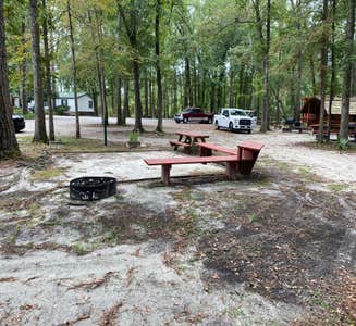 Camper-submitted photo from Camp South RV Park