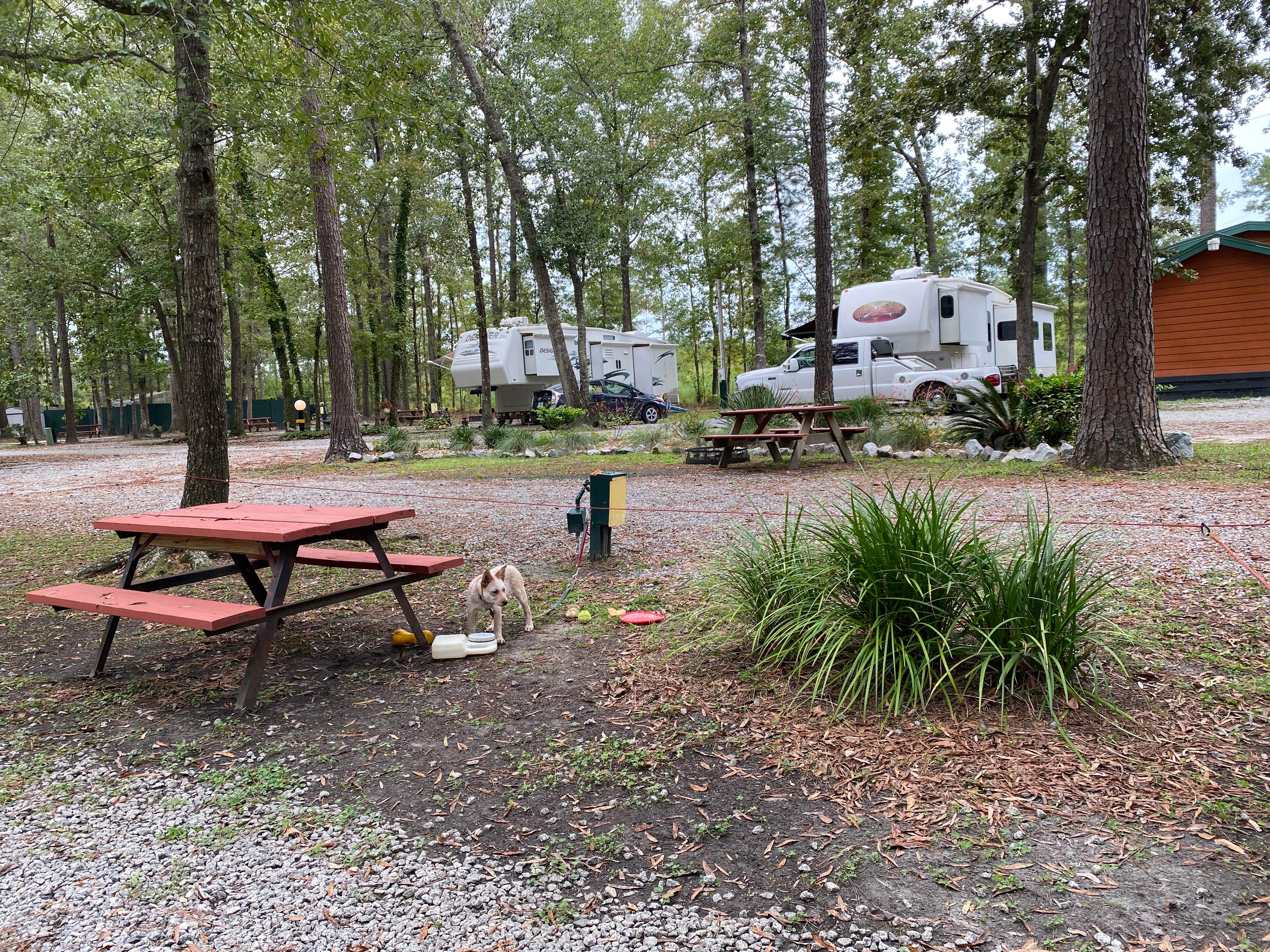 Shelly S.'s photo at Point South KOA near Beaufort, SC