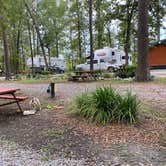Review photo of Point South KOA by Shelly S., November 11, 2020