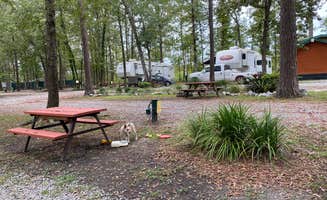 Shelly S.'s photo at Point South KOA near Ehrhardt, SC
