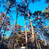 Review photo of Pinewoods Lake Campground by Clayton R., November 11, 2020