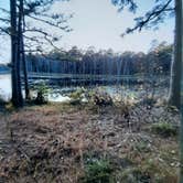 Review photo of Pinewoods Lake Rec Area — Mark Twain National Forest by Clayton R., November 11, 2020