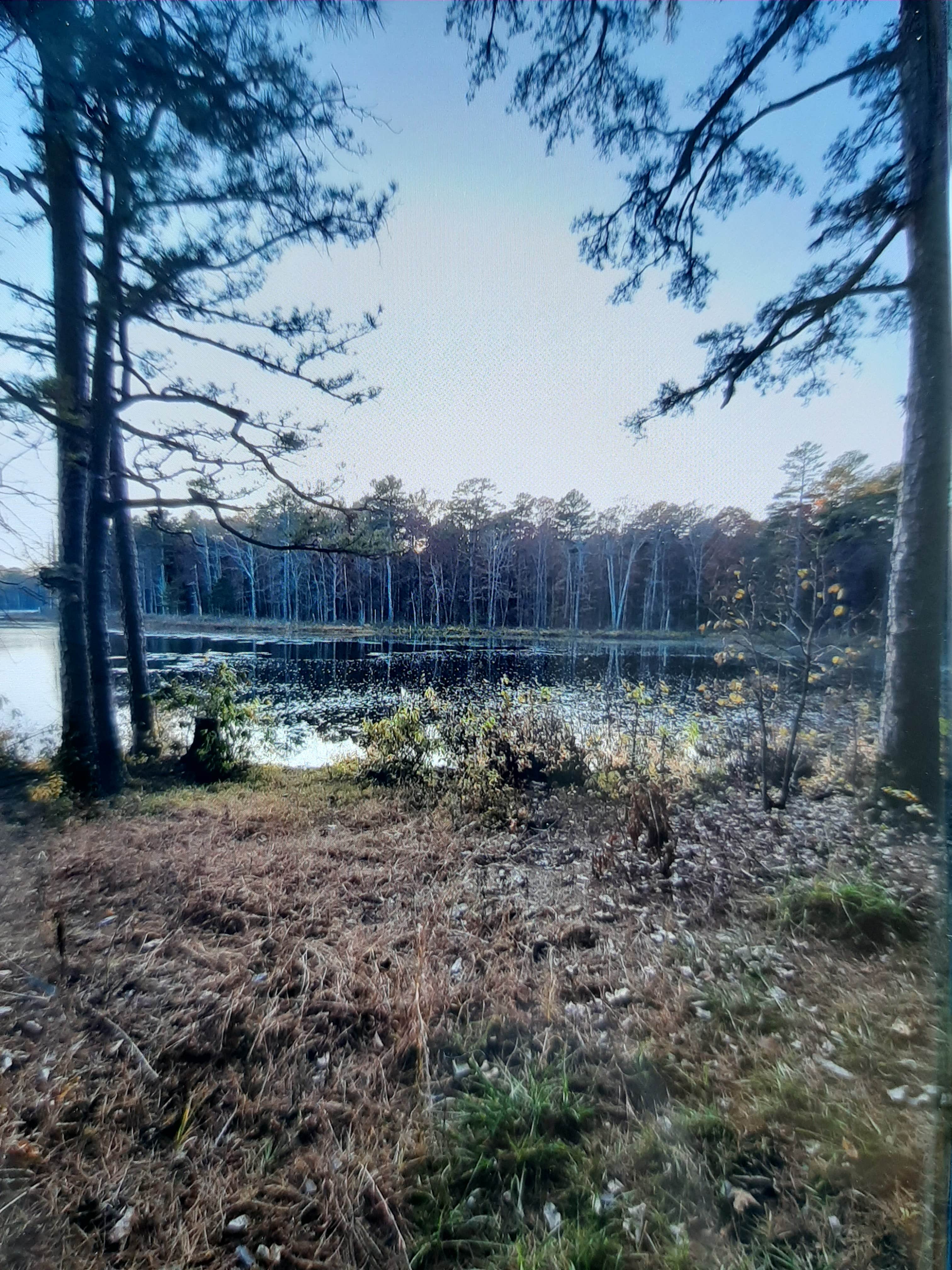 View All