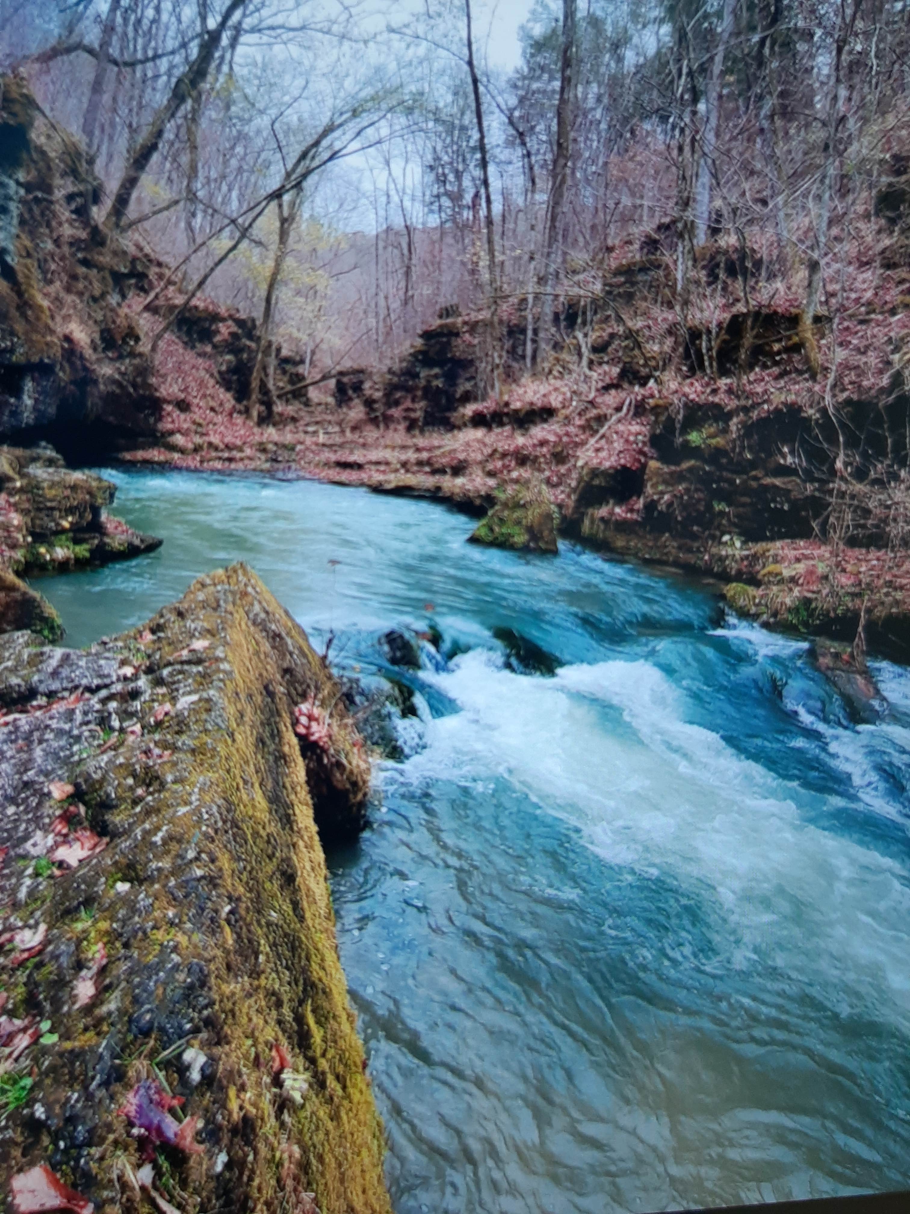 Escape To Nature’s Embrace: Greer Crossing Campground, Missouri