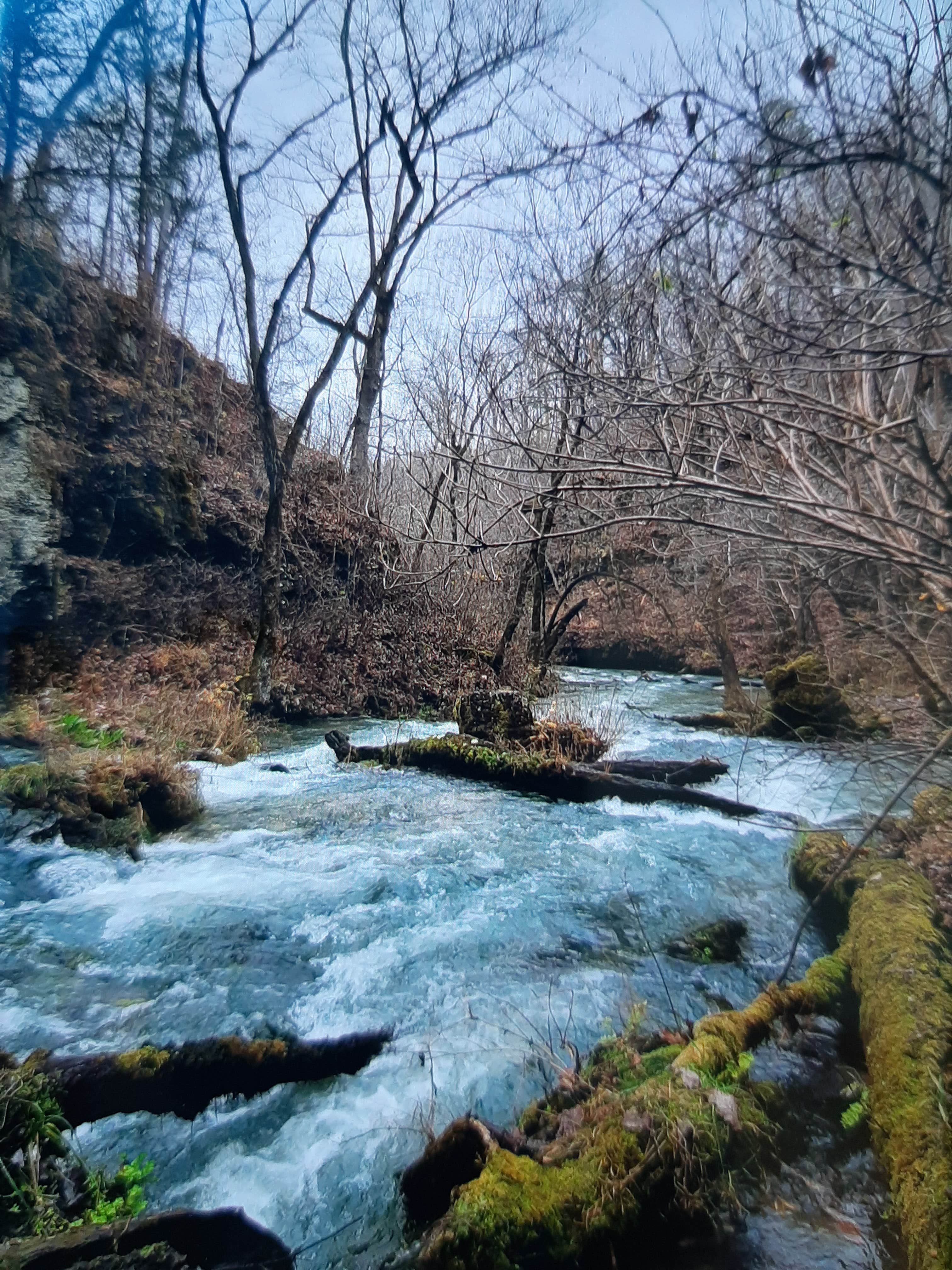Camping near Richard's Canoe Rental & Campground: Greer Crossing, Alton, Missouri