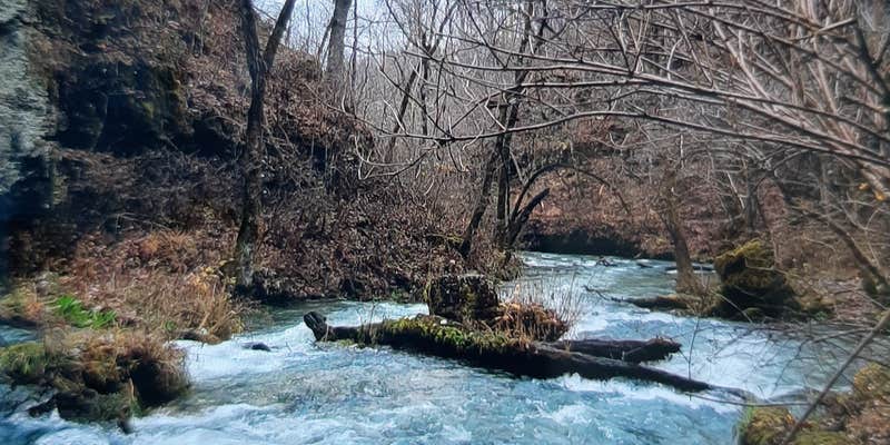 Camper submitted image from Greer Crossing