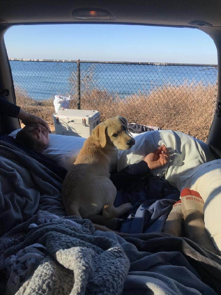 Adam C.'s photo of camping with pets at San Elijo State Beach Campground near Encinitas, CA
