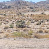 Review photo of Cal-Nev-Ari RV Park by Brittney  C., November 11, 2020