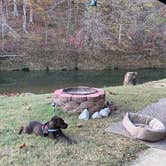 Review photo of Piney River Resort by Ray & Terri F., November 11, 2020
