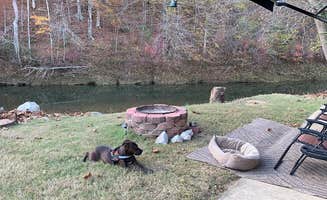 Ray & Terri F.'s photo of camping with pets at Piney River Resort near Eva, TN