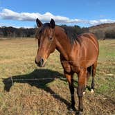 Review photo of Piney River Resort by Ray & Terri F., November 11, 2020