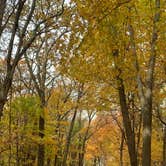 Review photo of Great River Bluffs State Park Campground by Joseph N., November 11, 2020