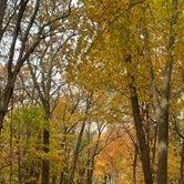 Review photo of Great River Bluffs State Park Campground by Joseph N., November 11, 2020