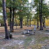 Review photo of Graham Cave State Park Campground by Drew S., November 11, 2020