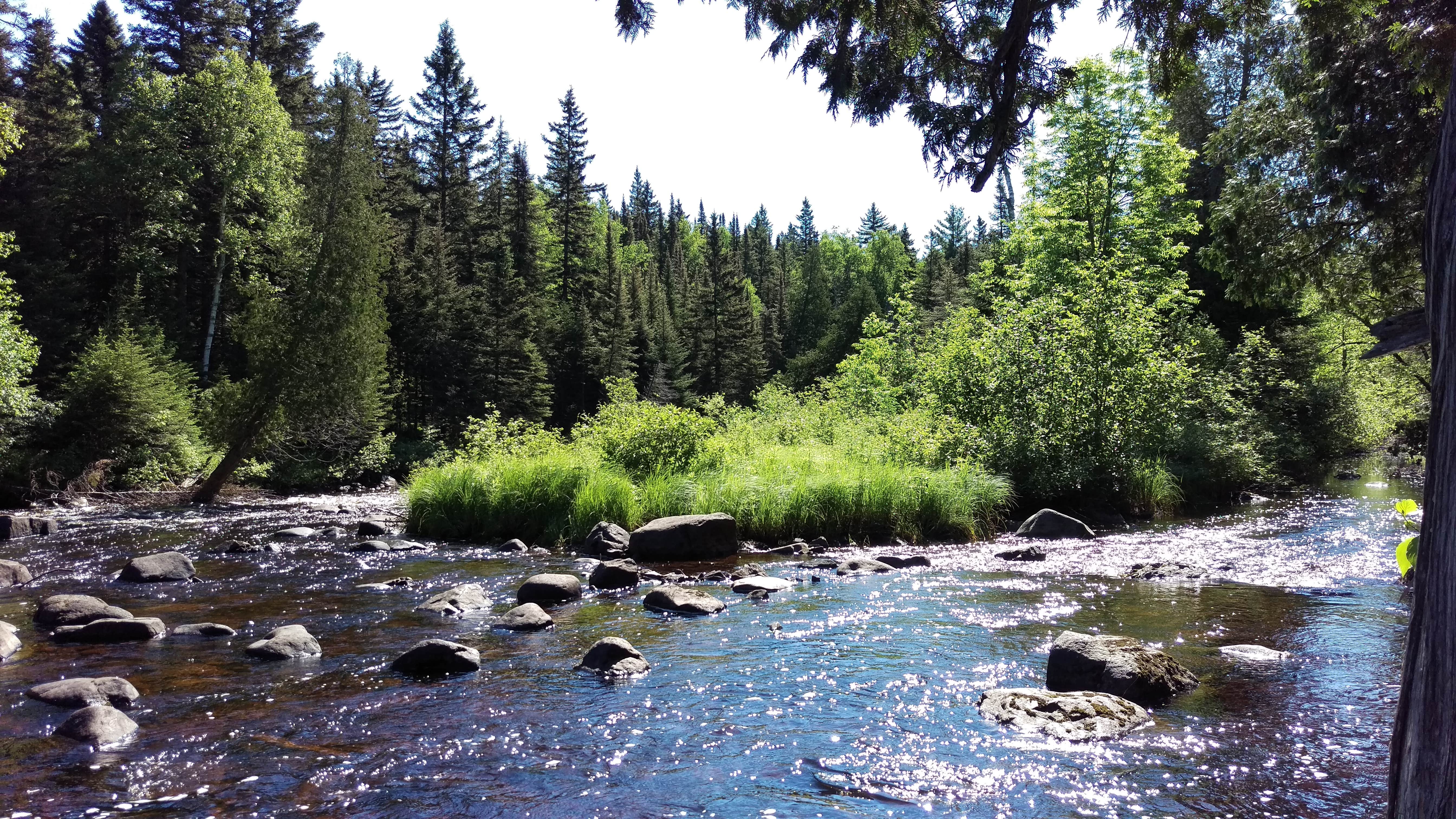 Camper submitted image from George H. Crosby Manitou State Park Campground - 2
