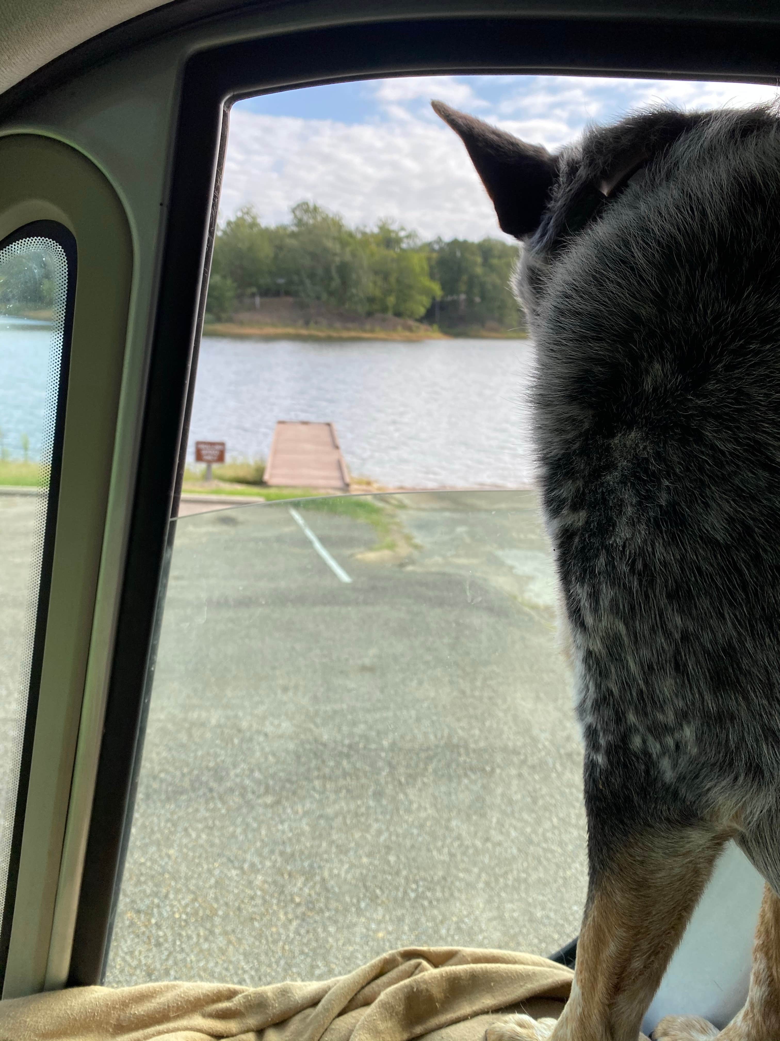 Shelly S.'s photo of camping with pets at Tombigbee State Park Campground near New Houlka, MS