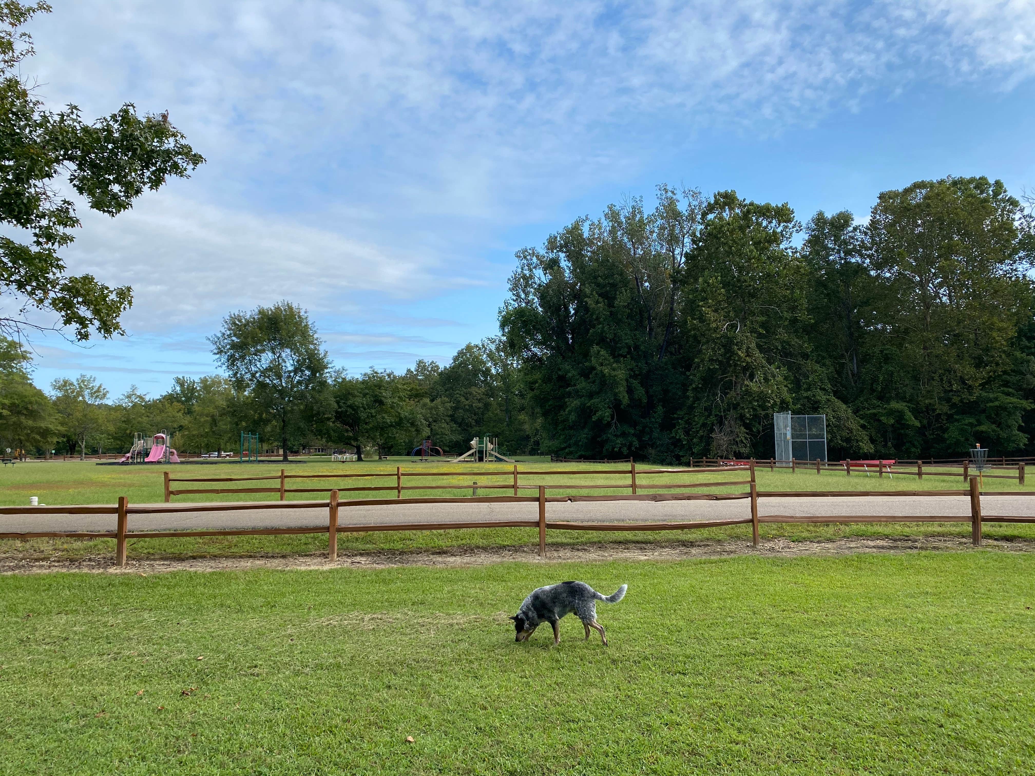 Shelly S.'s photo of camping with pets at Tombigbee State Park Campground near Baldwyn, MS