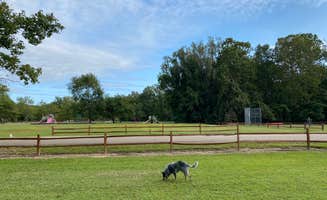 Shelly S.'s photo of camping with pets at Tombigbee State Park Campground in Mississippi
