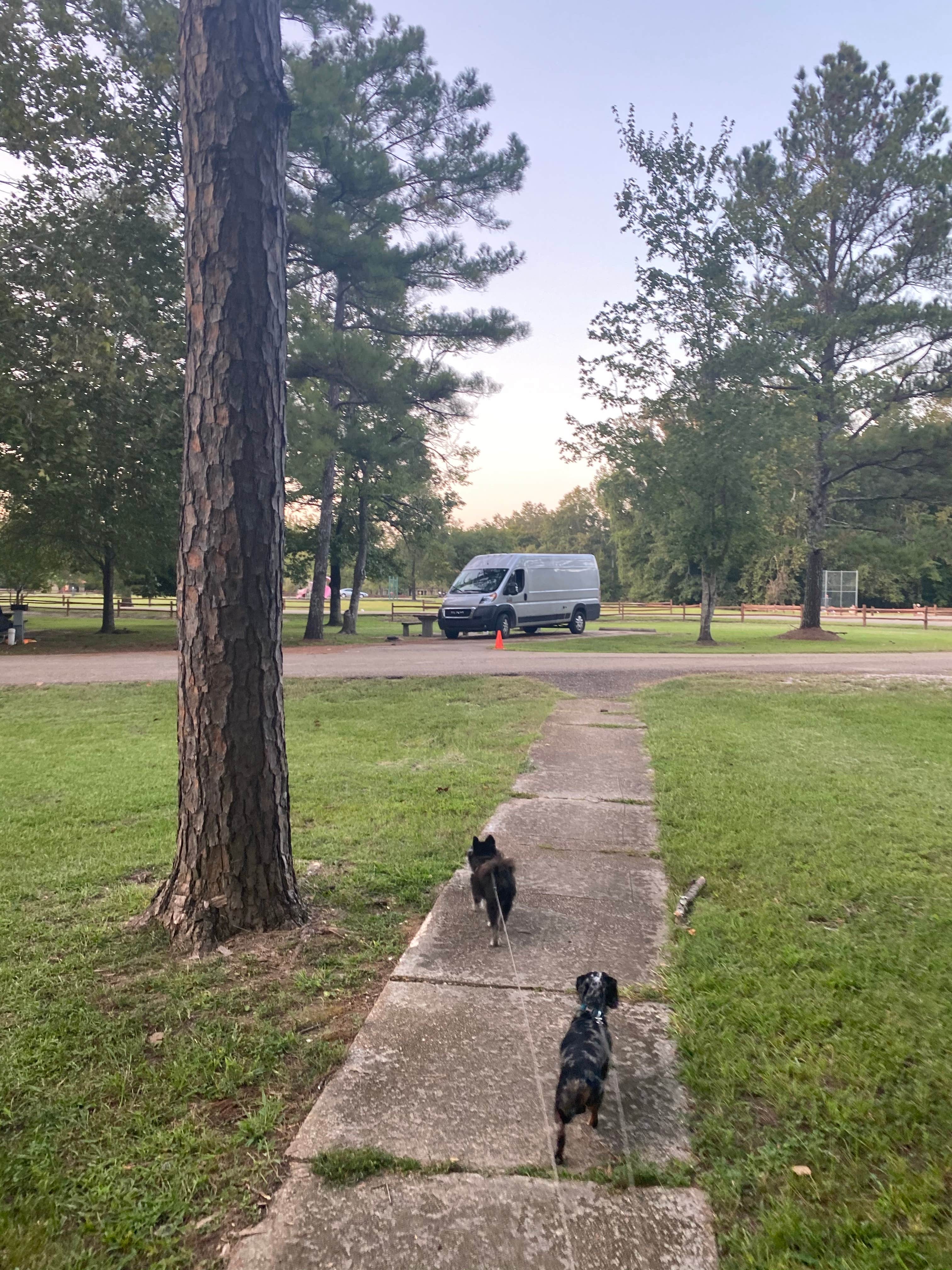 Shelly S.'s photo of camping with pets at Tombigbee State Park Campground near Guntown, MS