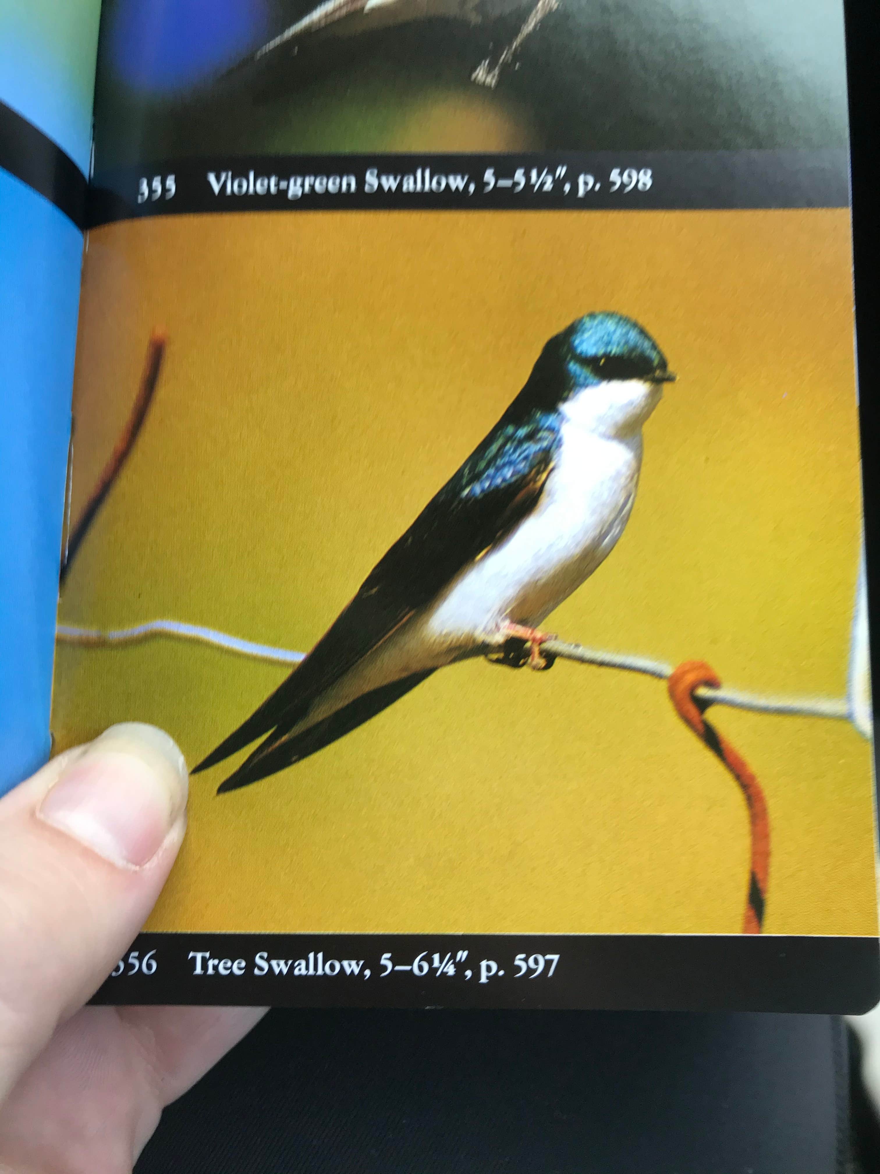 Camper-submitted photo at Green River Lakes Campground near Boulder, WY