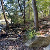 Review photo of Harrison Bay State Park Campground by Shelly S., November 12, 2020