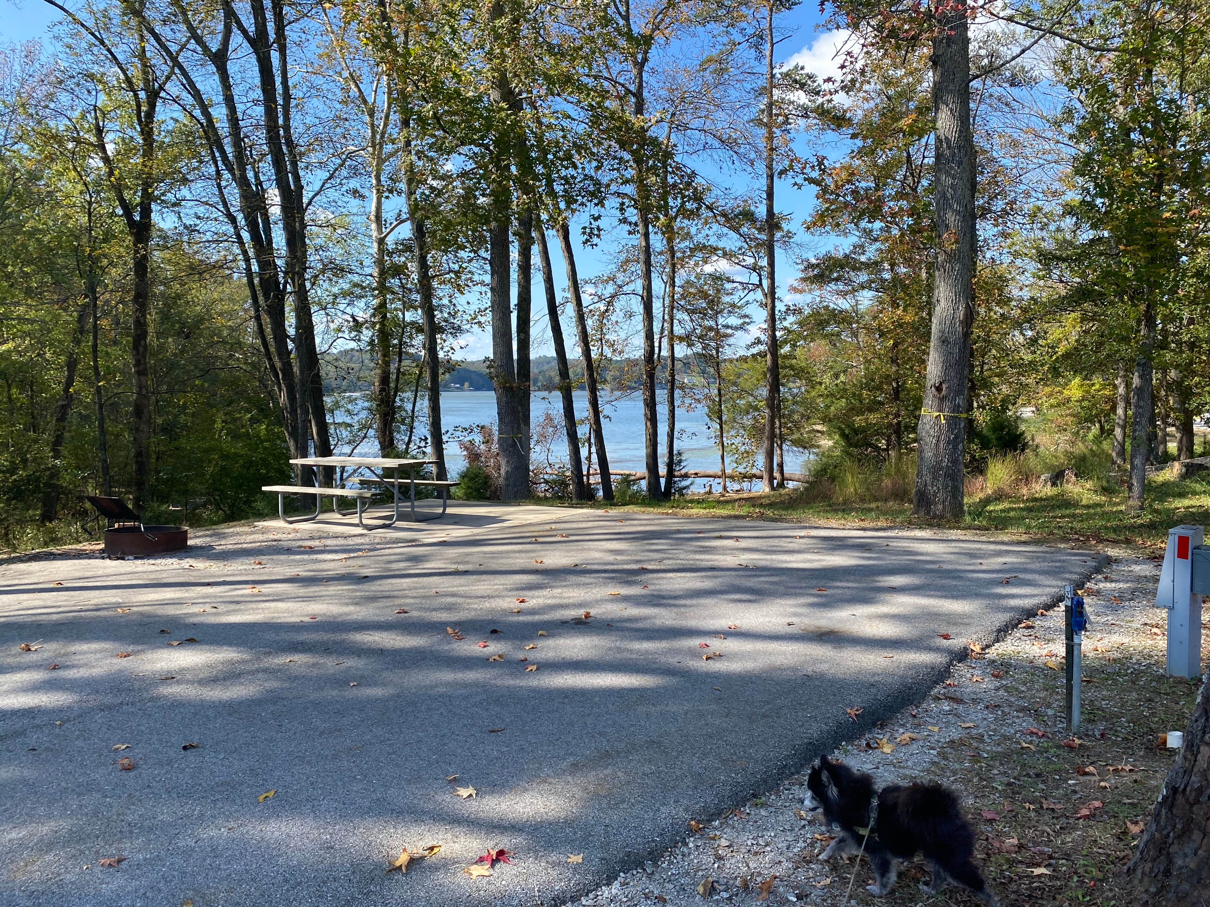 Shelly S.'s photo of camping with pets at Harrison Bay State Park Campground near Apison, TN