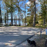 Review photo of Harrison Bay State Park Campground by Shelly S., November 12, 2020