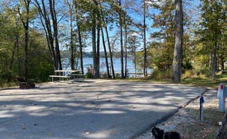 Shelly S.'s photo of camping with pets at Harrison Bay State Park Campground near Sale Creek, TN