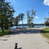 Review photo of Harrison Bay State Park Campground by Shelly S., November 12, 2020