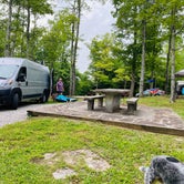 Review photo of Pickett CCC Memorial State Park Campground by Shelly S., November 12, 2020