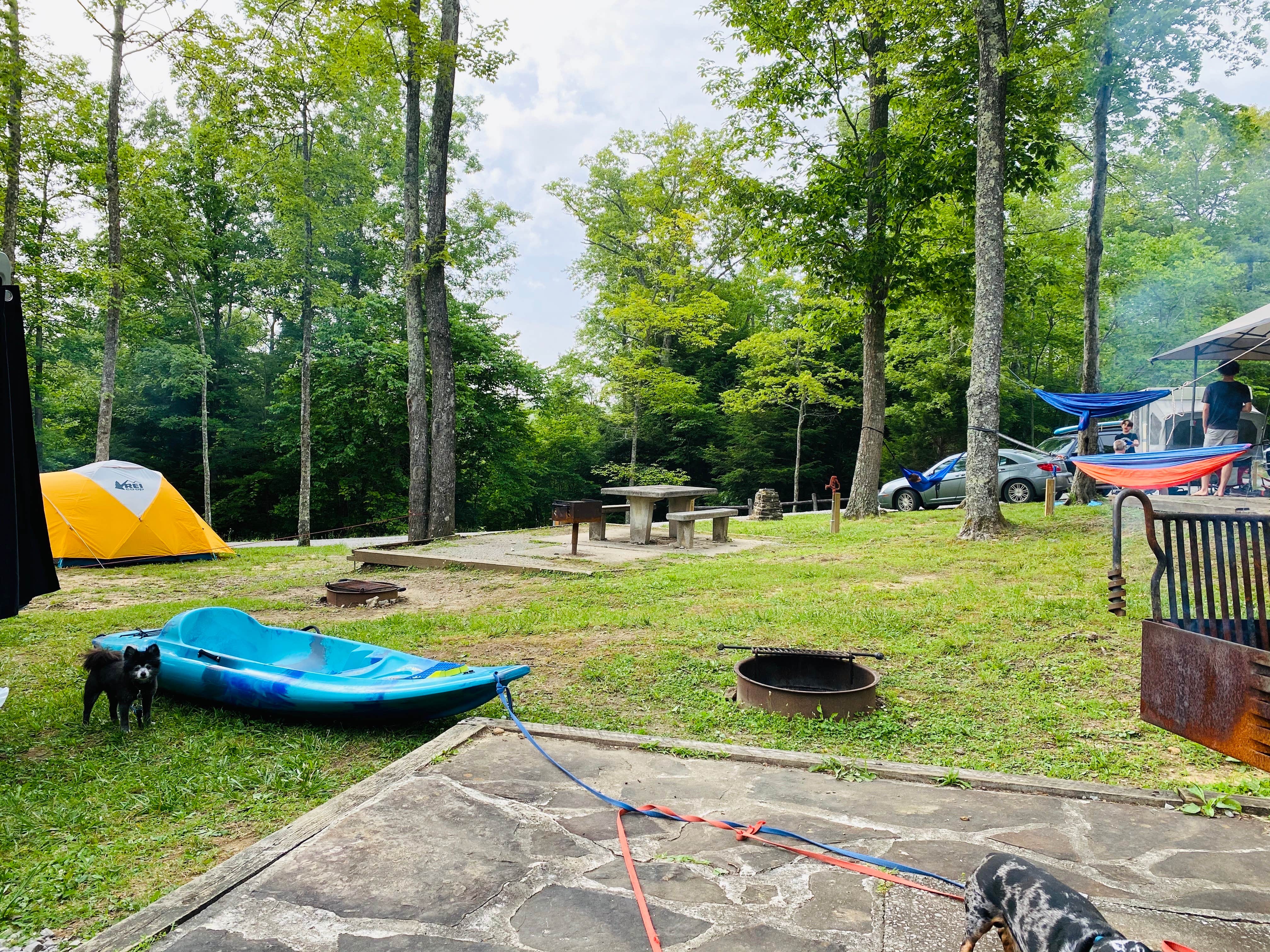 Shelly S.'s photo at Pickett CCC Memorial State Park Campground near Allardt, TN