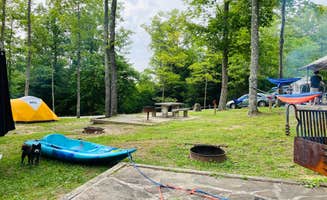 Shelly S.'s photo at Pickett CCC Memorial State Park Campground near Robbins, TN