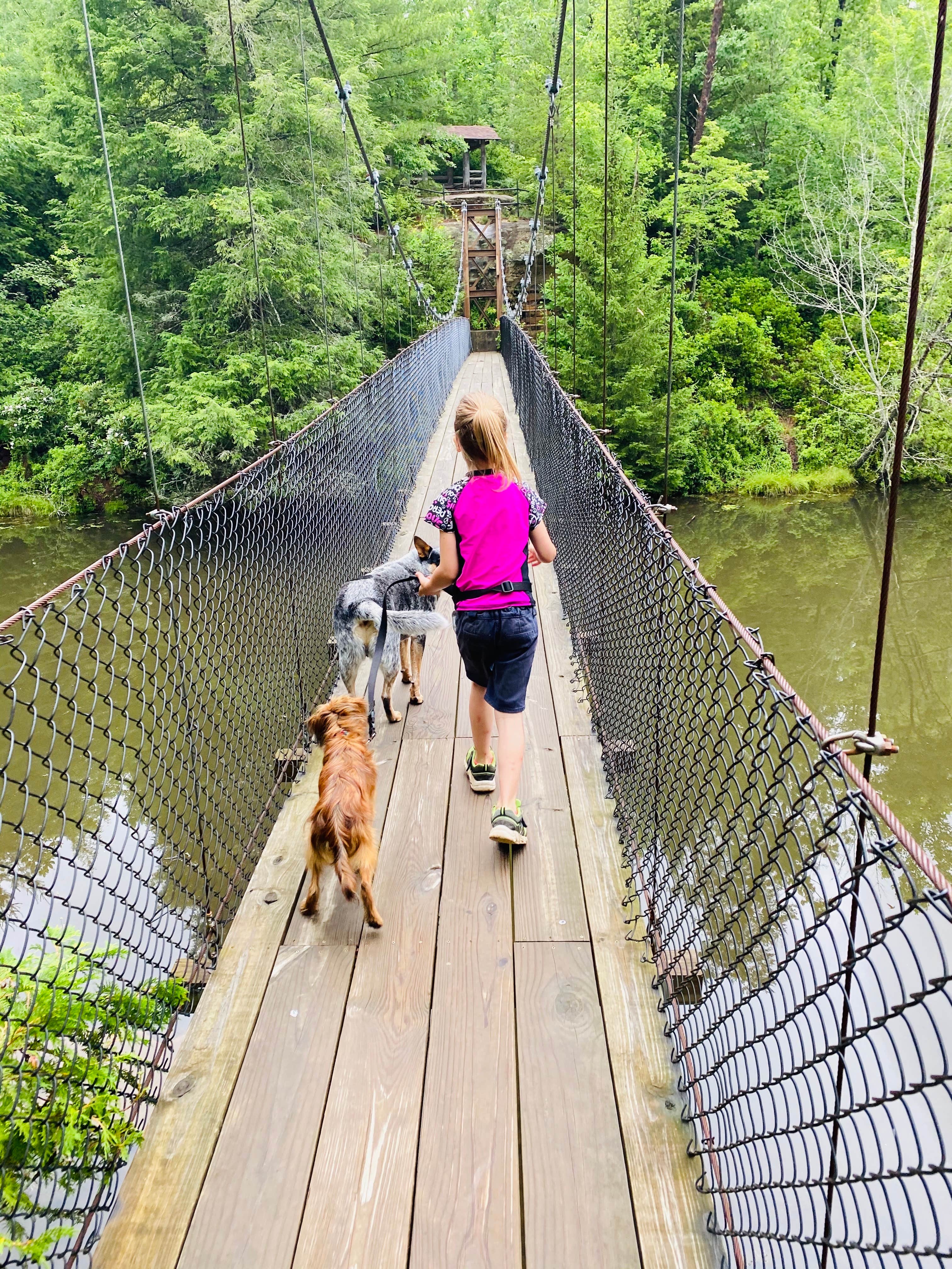Shelly S.'s photo of camping with pets at Pickett CCC Memorial State Park Campground near Revelo, KY