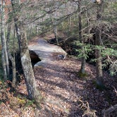 Review photo of Pickett CCC Memorial State Park by Shelly S., November 12, 2020