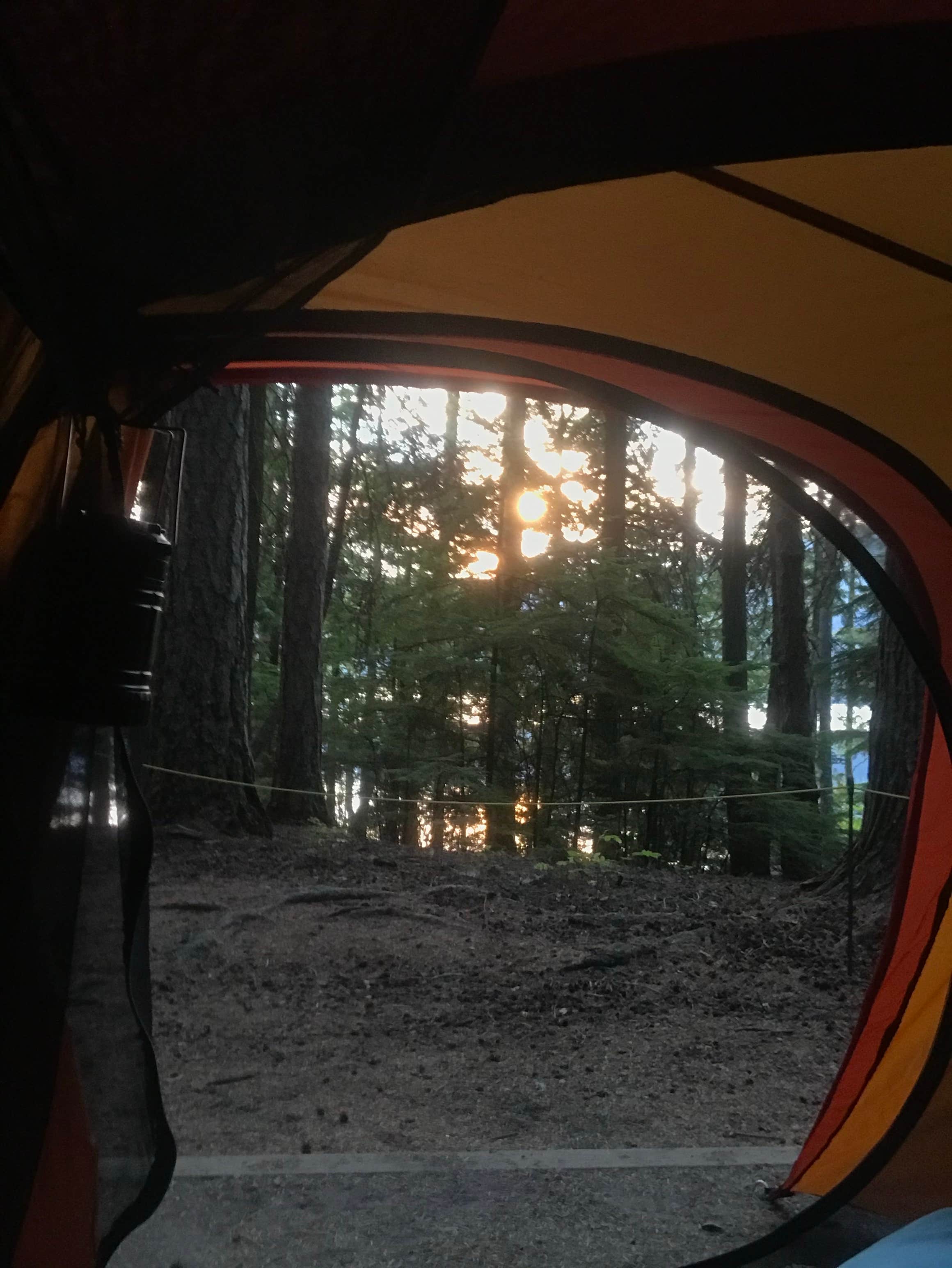Kelsey Z.'s photo at Fish Creek Campground — Glacier National Park near Glacier National Park
