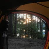 Review photo of Fish Creek Campground — Glacier National Park by Kelsey Z., November 12, 2020