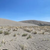 Review photo of Bruneau Dunes State Park Campground by Shelly S., November 12, 2020