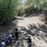 Review photo of Bruneau Dunes State Park Campground by Shelly S., November 12, 2020