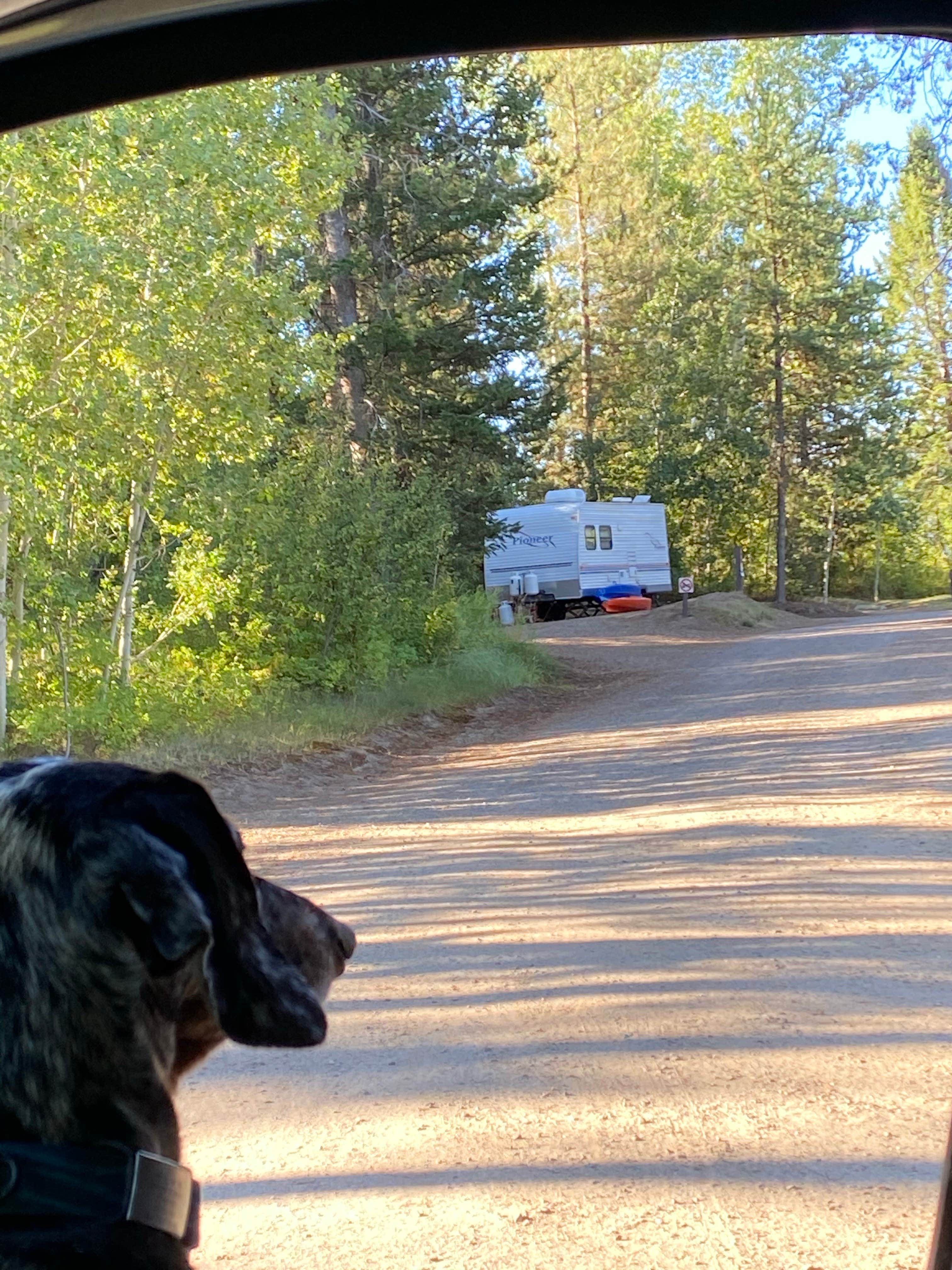 Camper submitted image from Blowout Campground - 3