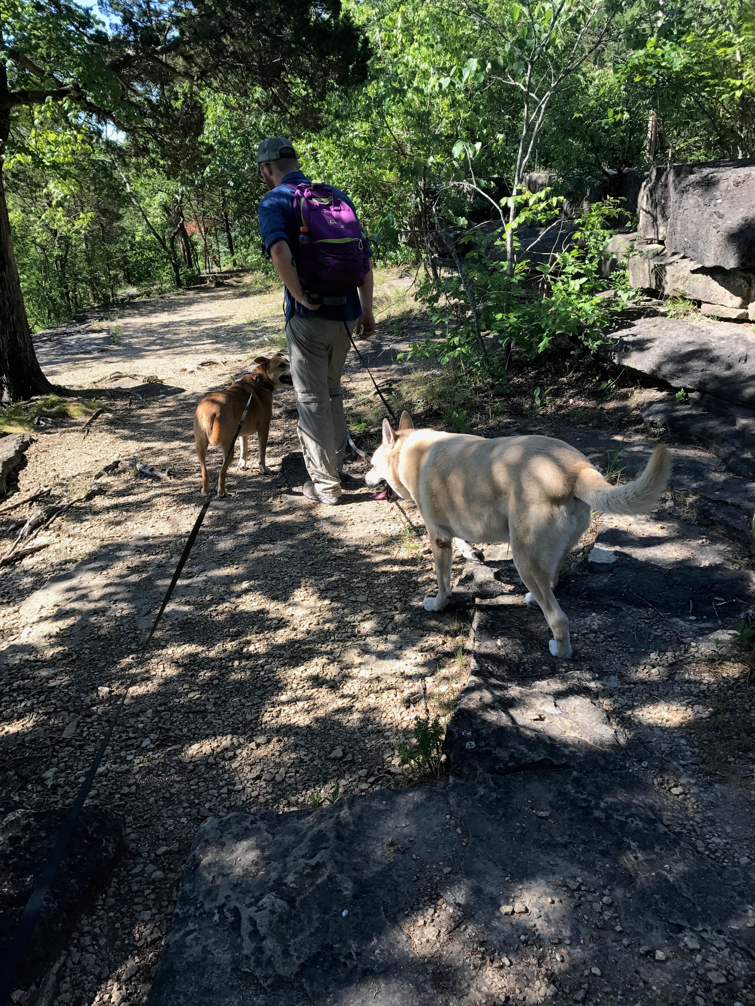 Camper-submitted photo at Washington State Park Campground near Arnold, MO