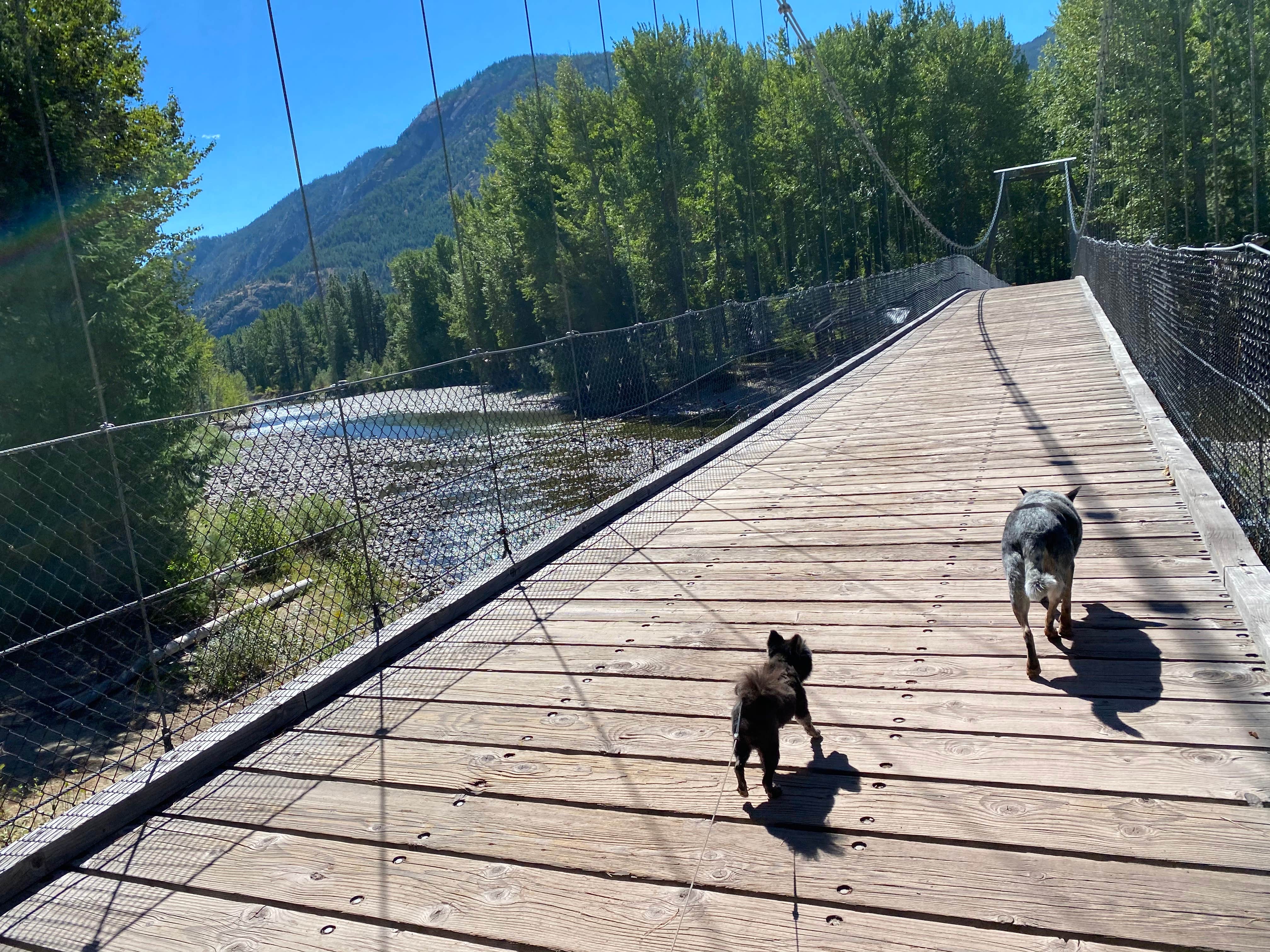 Camping near Klipchuck Campground: Lone Fir Campground, Mazama, Washington