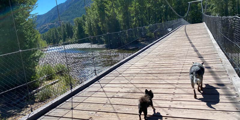 Camper submitted image from Lone Fir Campground