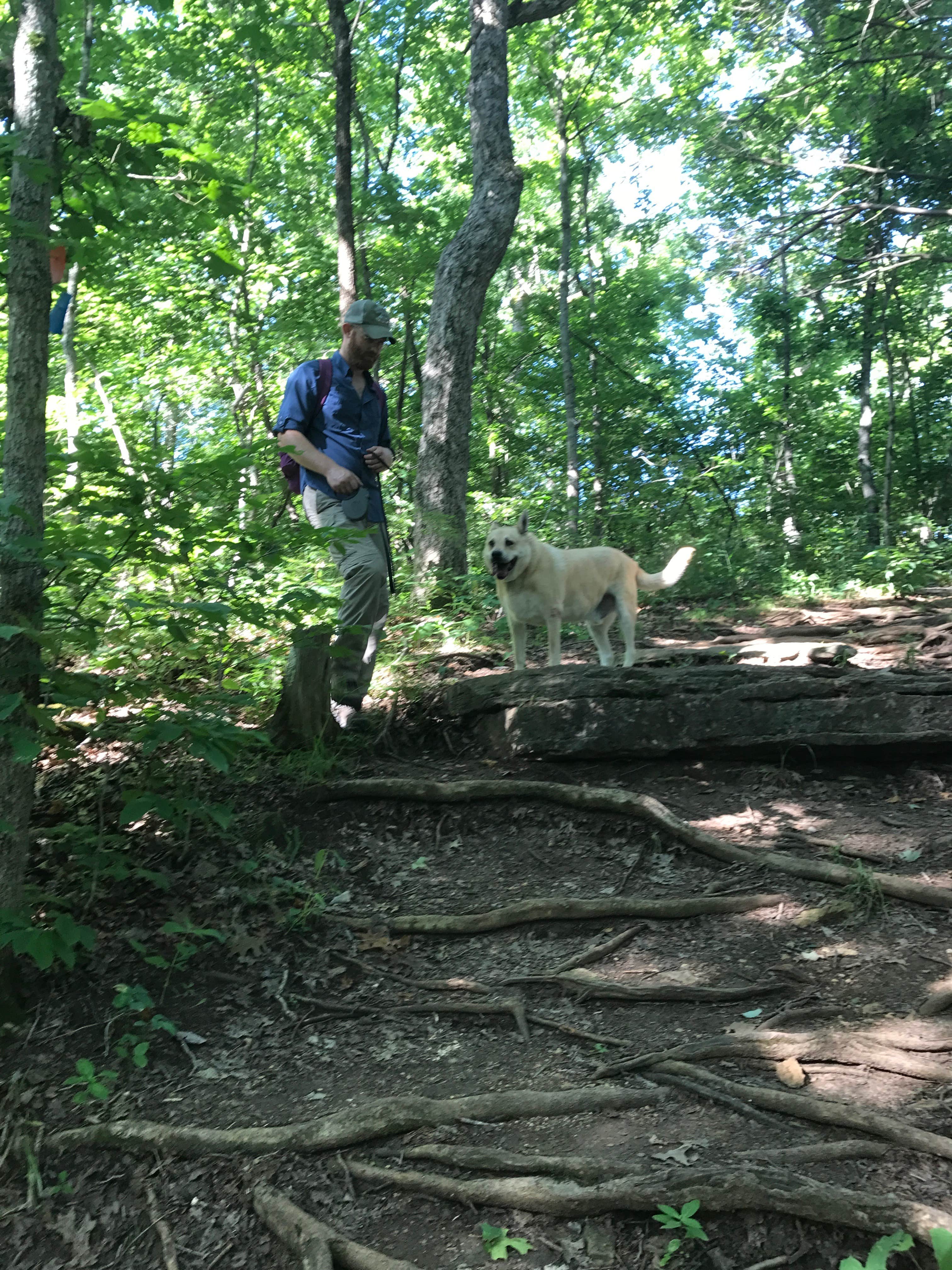 Camper-submitted photo at Washington State Park Campground near Arnold, MO