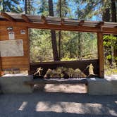 Review photo of Lone Fir Campground by Shelly S., November 12, 2020