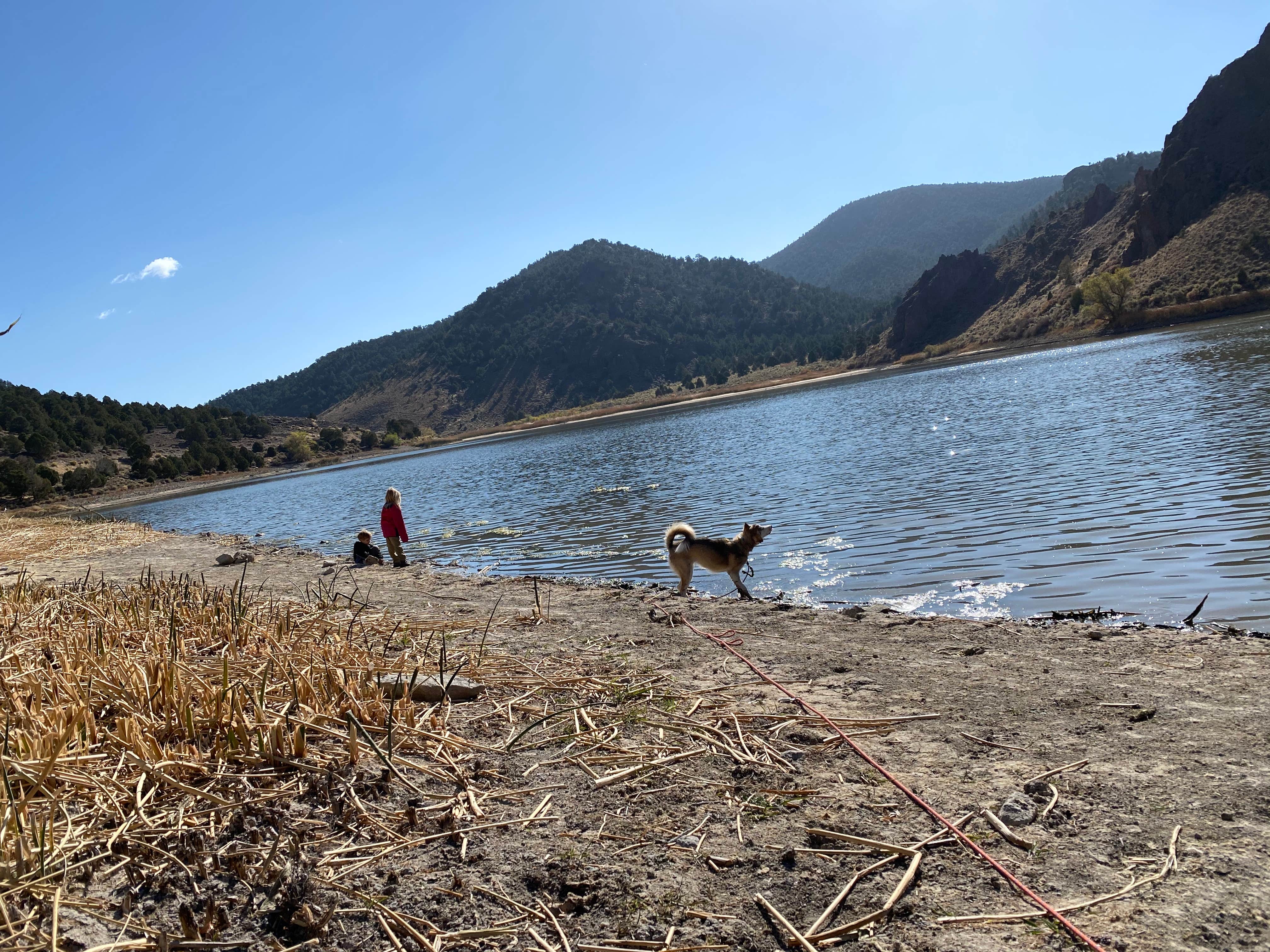 Dilsah T.'s photo of camping with pets at Horsethief Gulch Campground — Spring Valley State Park near Pioche, NV