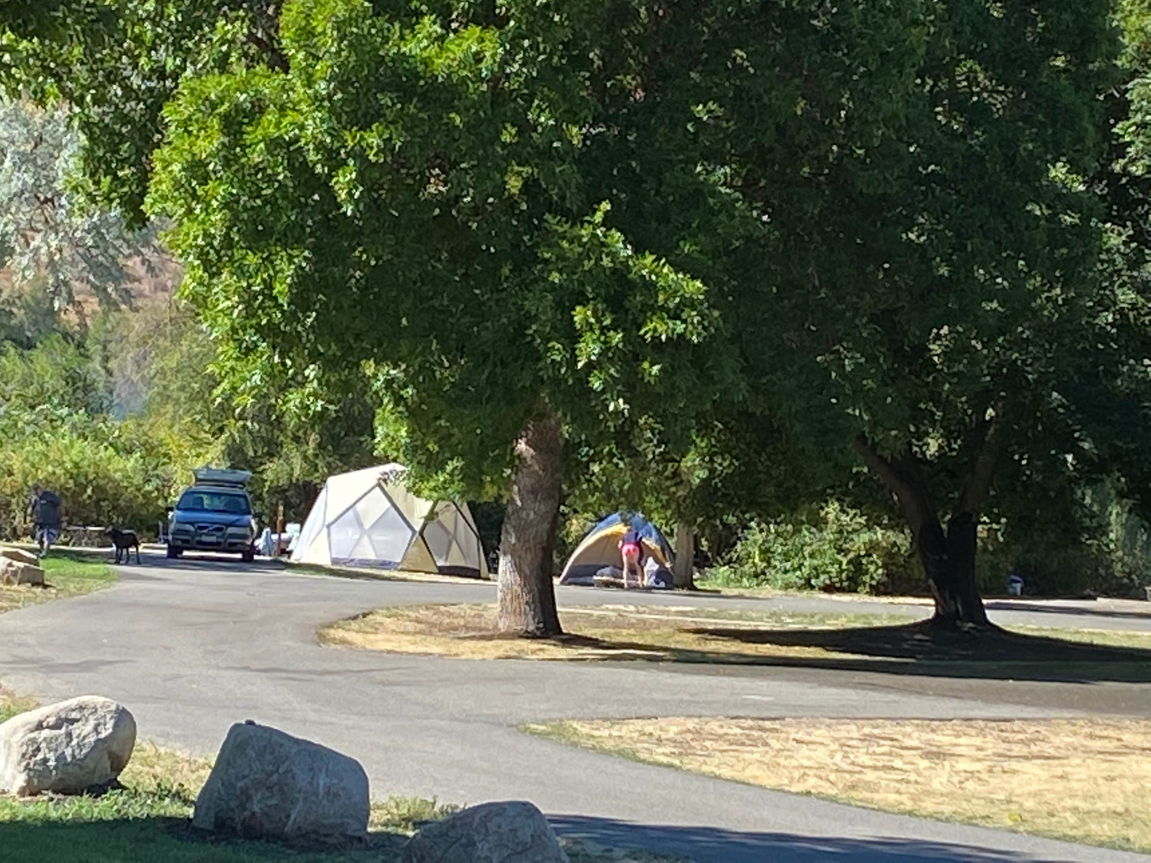 Camper submitted image from Pearrygin Lake State Park Campground - 5